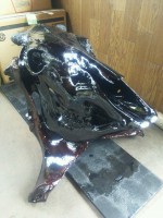 /album/%e7%89%9b%e3%82%b9%e3%82%ab%e3%83%ab%c3%97%e6%bc%86%e3%80%80%e5%98%86%e3%81%8d%e3%81%ae%e9%aa%a8%ef%bc%92/dsc-0098-jpg/